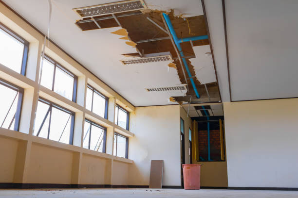 Best Professional water damage repair  in Raubsville, PA