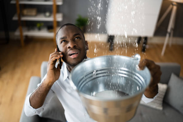 Best Basement water damage restoration  in Raubsville, PA