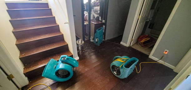 Carpet water damage restoration in Raubsville, PA