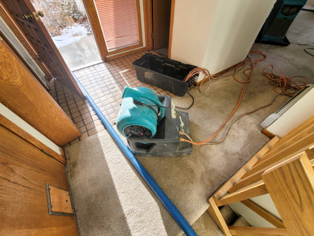 Best Mold removal after water damage  in Raubsville, PA