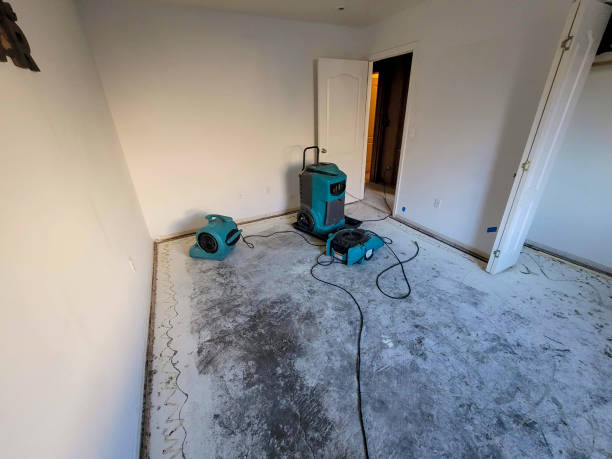 Best 24-hour water damage restoration  in Raubsville, PA
