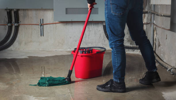 Best Residential water damage restoration  in Raubsville, PA