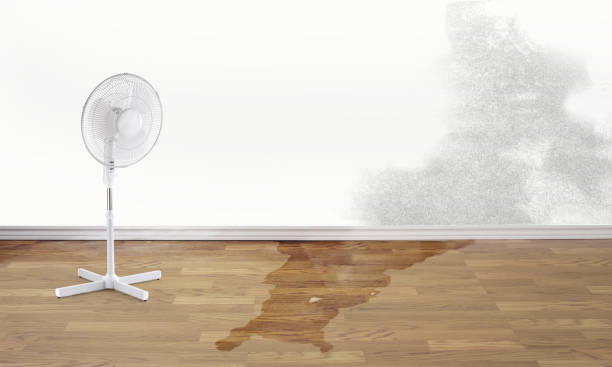 Best Sewage cleanup and water damage restoration  in Raubsville, PA