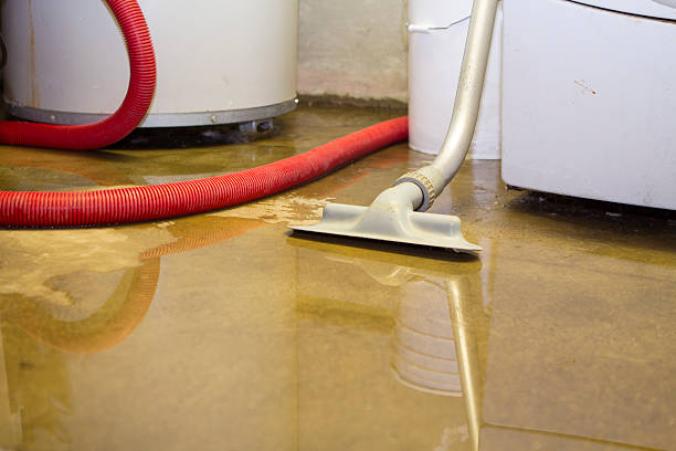 Best Professional water damage repair  in Raubsville, PA