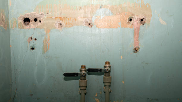 Best Emergency water damage restoration  in Raubsville, PA