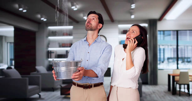 Best Basement water damage restoration  in Raubsville, PA