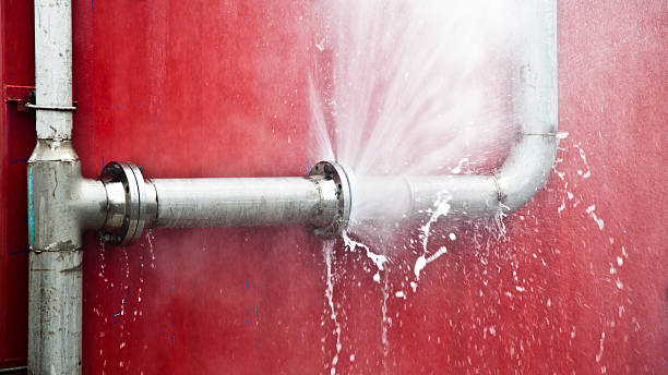 Best Water damage cleanup near me  in Raubsville, PA