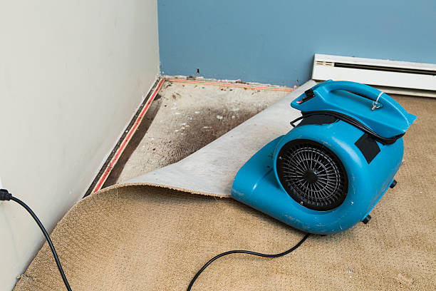 Best Flood restoration services  in Raubsville, PA